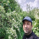 تصویر کاربر با کد 766059