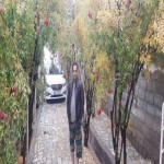 تصویر کاربر با کد 1046782
