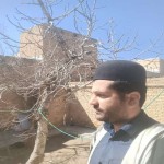 تصویر کاربر با کد 598147