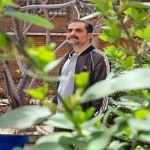 تصویر کاربر با کد 355867