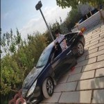 تصویر کاربر با کد 246337