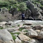 تصویر کاربر با کد 425769