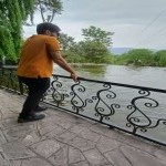 تصویر کاربر با کد 555263