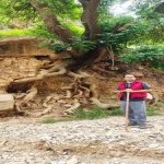 تصویر کاربر با کد 642119