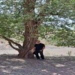 تصویر کاربر با کد 3957