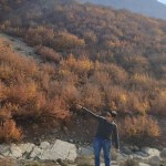 تصویر کاربر با کد 1103097