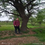 تصویر کاربر با کد 66855
