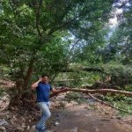 تصویر کاربر با کد 1107083