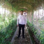 تصویر کاربر با کد 1113973