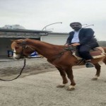 تصویر کاربر با کد 1042404