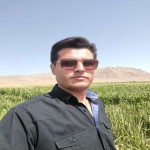 تصویر کاربر با کد 1108928