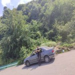 تصویر کاربر با کد 949612