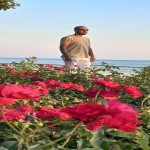 تصویر کاربر با کد 1129288