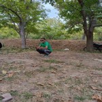 تصویر کاربر با کد 1126157
