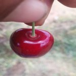 تصویر کاربر با کد 578549