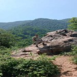 تصویر کاربر با کد 1135373