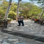 تصویر کاربر با کد 1135198