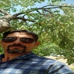 تصویر کاربر با کد 508848