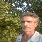 تصویر کاربر با کد 1177588