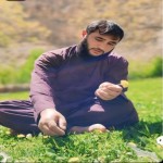 تصویر کاربر با کد 888551