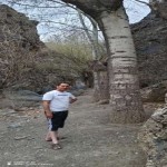 تصویر کاربر با کد 1185396