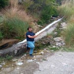 تصویر کاربر با کد 1090382