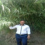 تصویر کاربر با کد 1185925