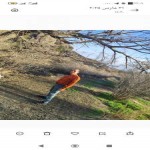 تصویر کاربر با کد 1198208