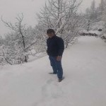 تصویر کاربر با کد 239290