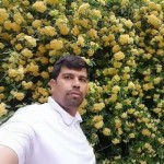 تصویر کاربر با کد 939375