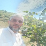 تصویر کاربر با کد 50197