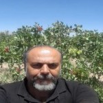 تصویر کاربر با کد 744482