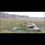 تصویر کاربر با کد 725026