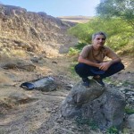 تصویر کاربر با کد 293923