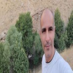 تصویر کاربر با کد 1106495