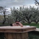 تصویر کاربر با کد 1243098
