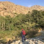 تصویر کاربر با کد 1233398