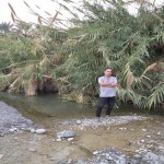 تصویر کاربر با کد 799350
