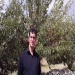 تصویر کاربر با کد 1035503
