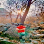 تصویر کاربر با کد 101518