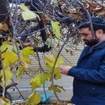 تصویر کاربر با کد 664535