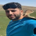 تصویر کاربر با کد 488463