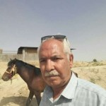 تصویر کاربر با کد 301492