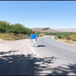 تصویر کاربر با کد 1262590