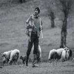 تصویر کاربر با کد 1266377
