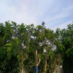 تصویر کاربر با کد 1258317
