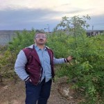 تصویر کاربر با کد 740645