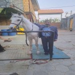 تصویر کاربر با کد 807479