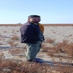 تصویر کاربر با کد 319557