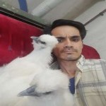 تصویر کاربر با کد 1085451